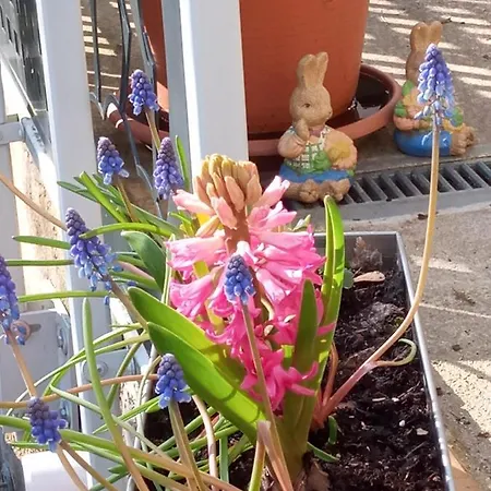 Lägenhet Zum Sebnitzer Hirsch