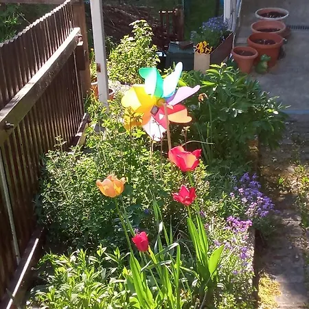 Apartamento Zum Sebnitzer Hirsch