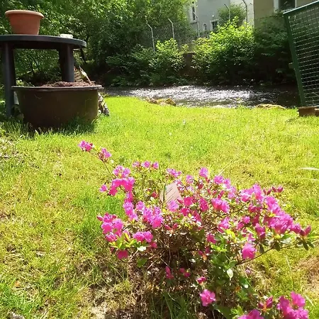 Zum Sebnitzer Hirsch Sebnitz