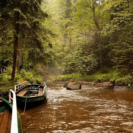 Apartamento Zum Sebnitzer Hirsch