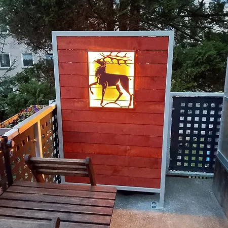 Zum Sebnitzer Hirsch Apartmán *