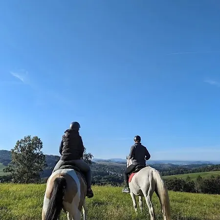Zum Sebnitzer Hirsch *