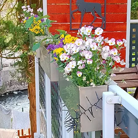 Apartmán Zum Sebnitzer Hirsch *