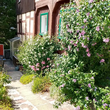 Apartmán Zum Sebnitzer Hirsch *