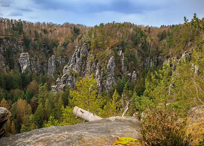 Zum Sebnitzer Hirsch *